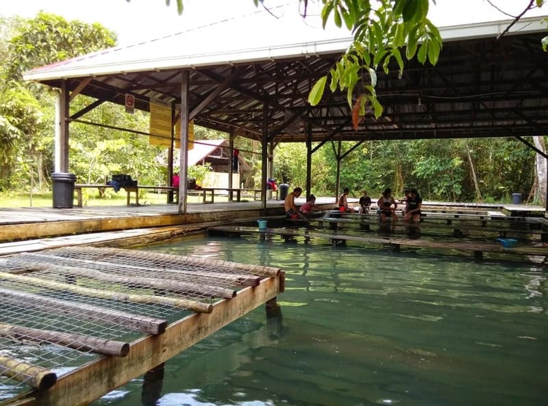 Kampung Panchor Hot Spring