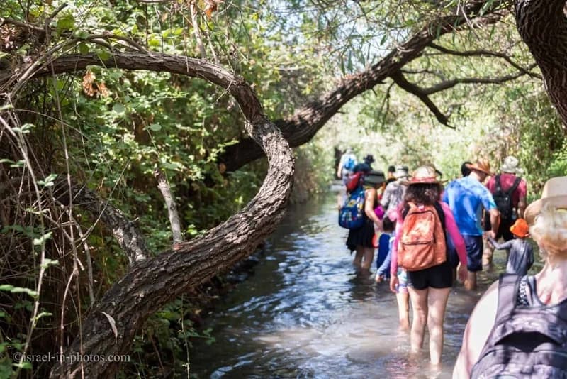 Top 3 Hot Springs in Israel